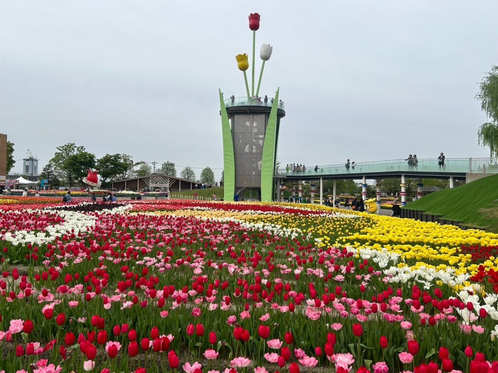 チューリップ公園のシンボル、チューリップタワー