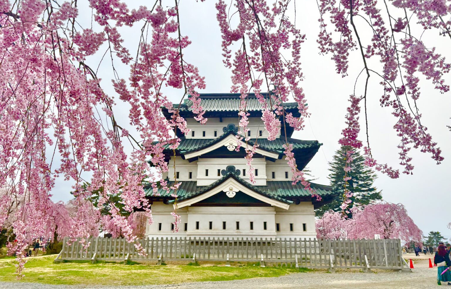 【弘前】5/5まで桜まつり開催中！日本一の桜の名所・青森県「弘前公園」のお花見♪ / ゆるふわ秘書の旅行&グルメブログ