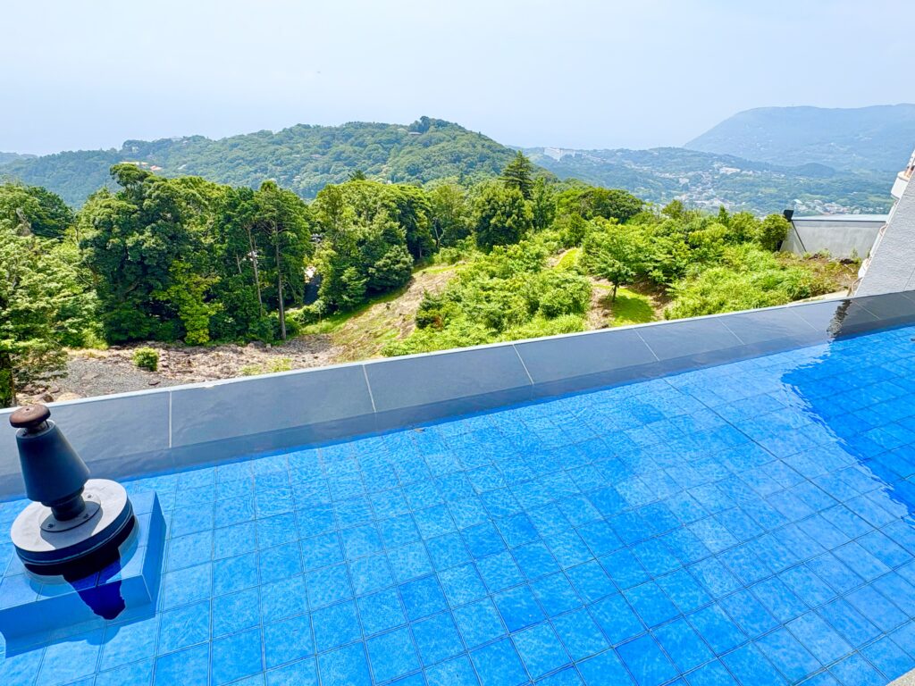 奥には相模湾が見えるのだけど、もやっとした天気です。