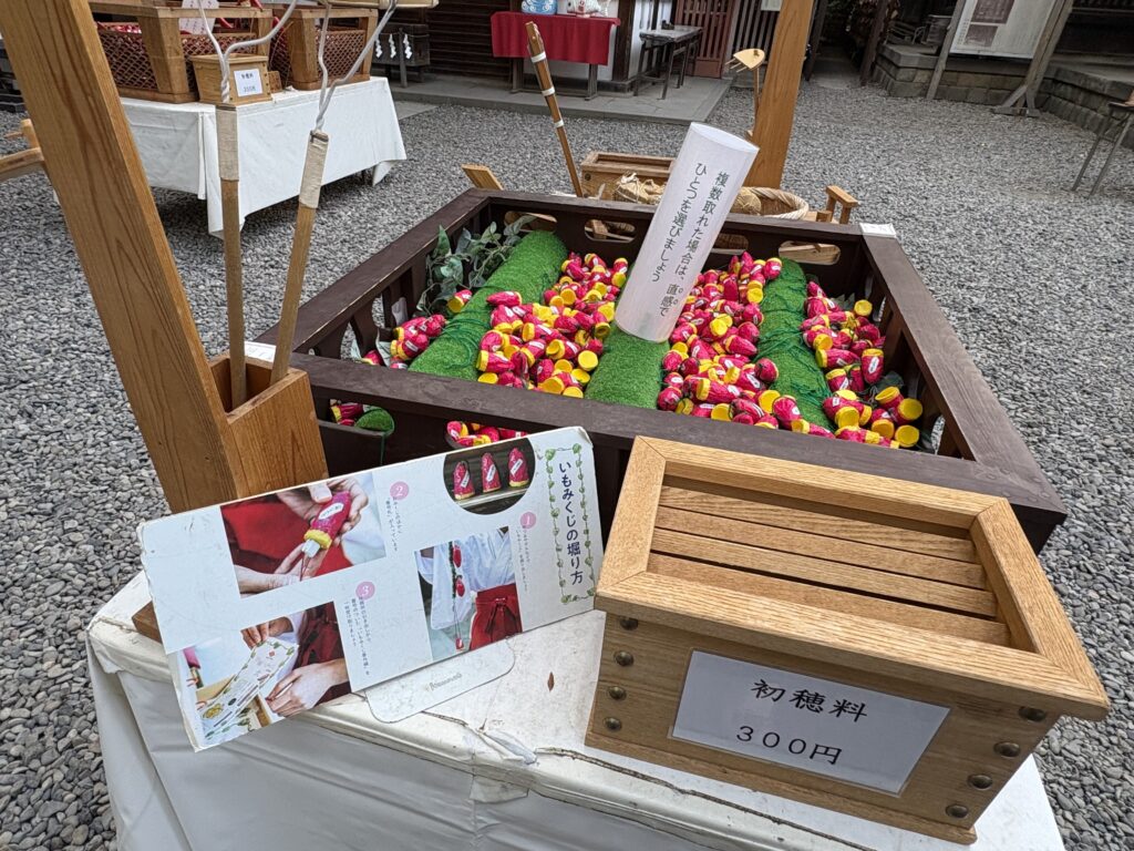 芋みくじ