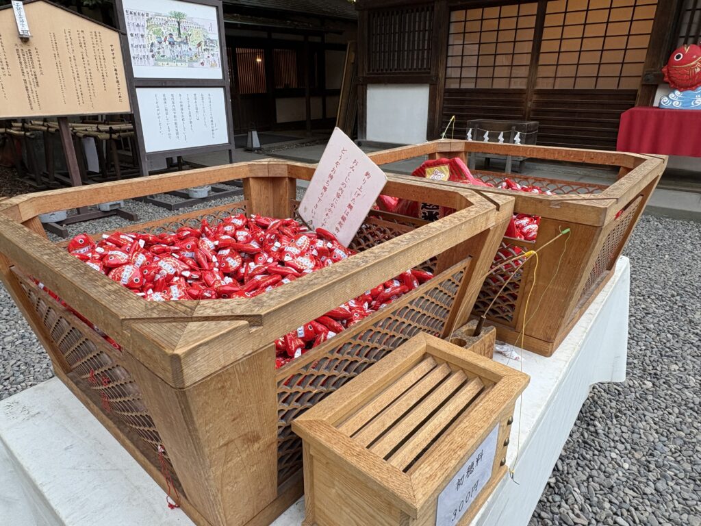 鯛釣りみくじ